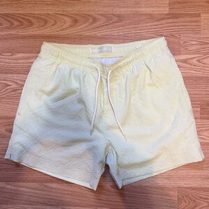 PacSun Light Green Swim Shorts